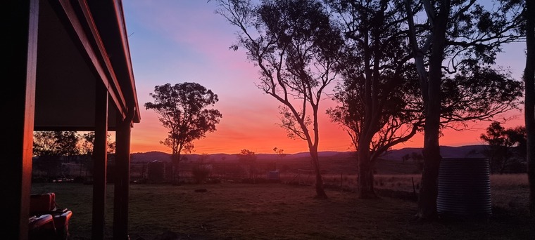 Dreadheadaussie cover image