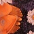 DreamGurl_29 avatar