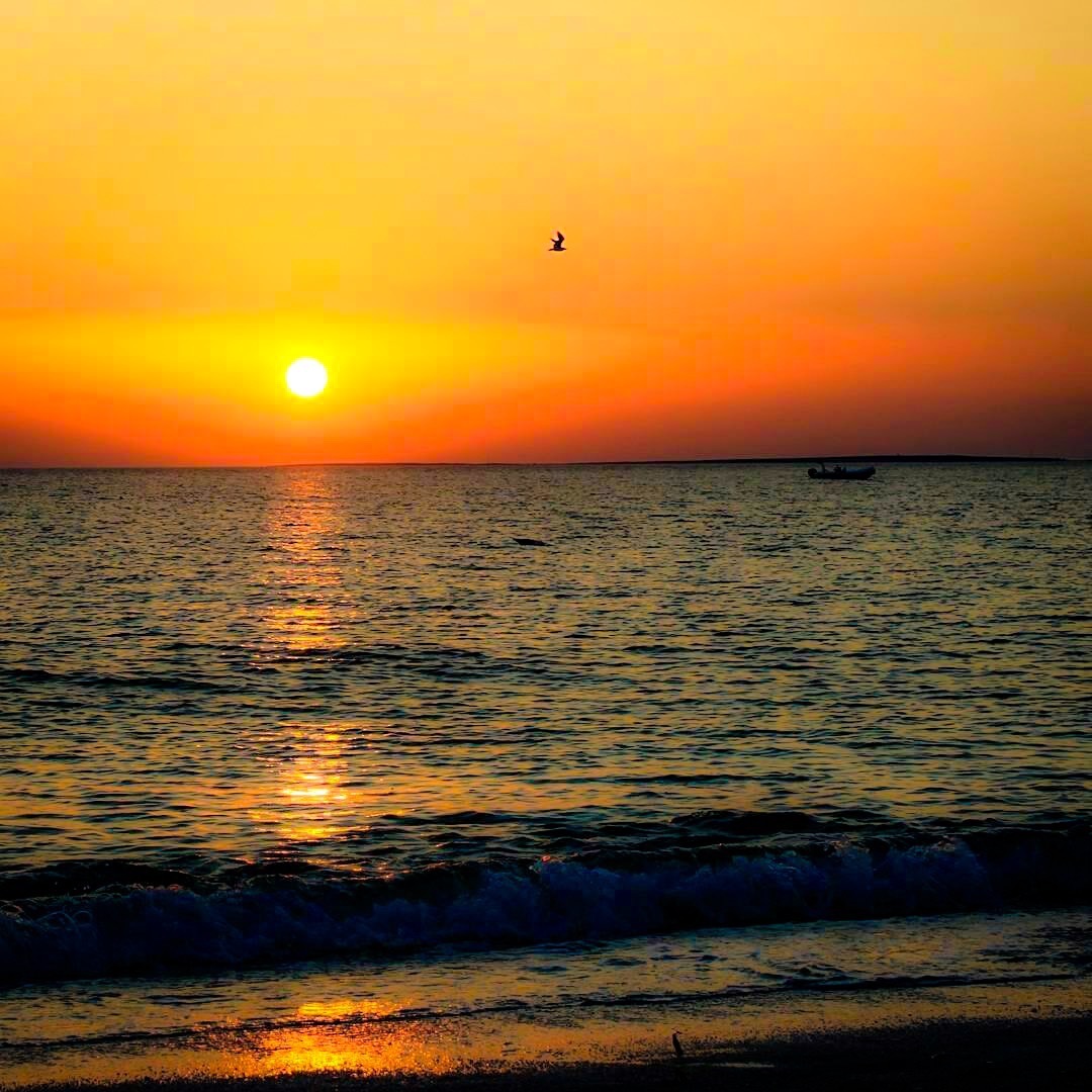 Dreamjc banner image