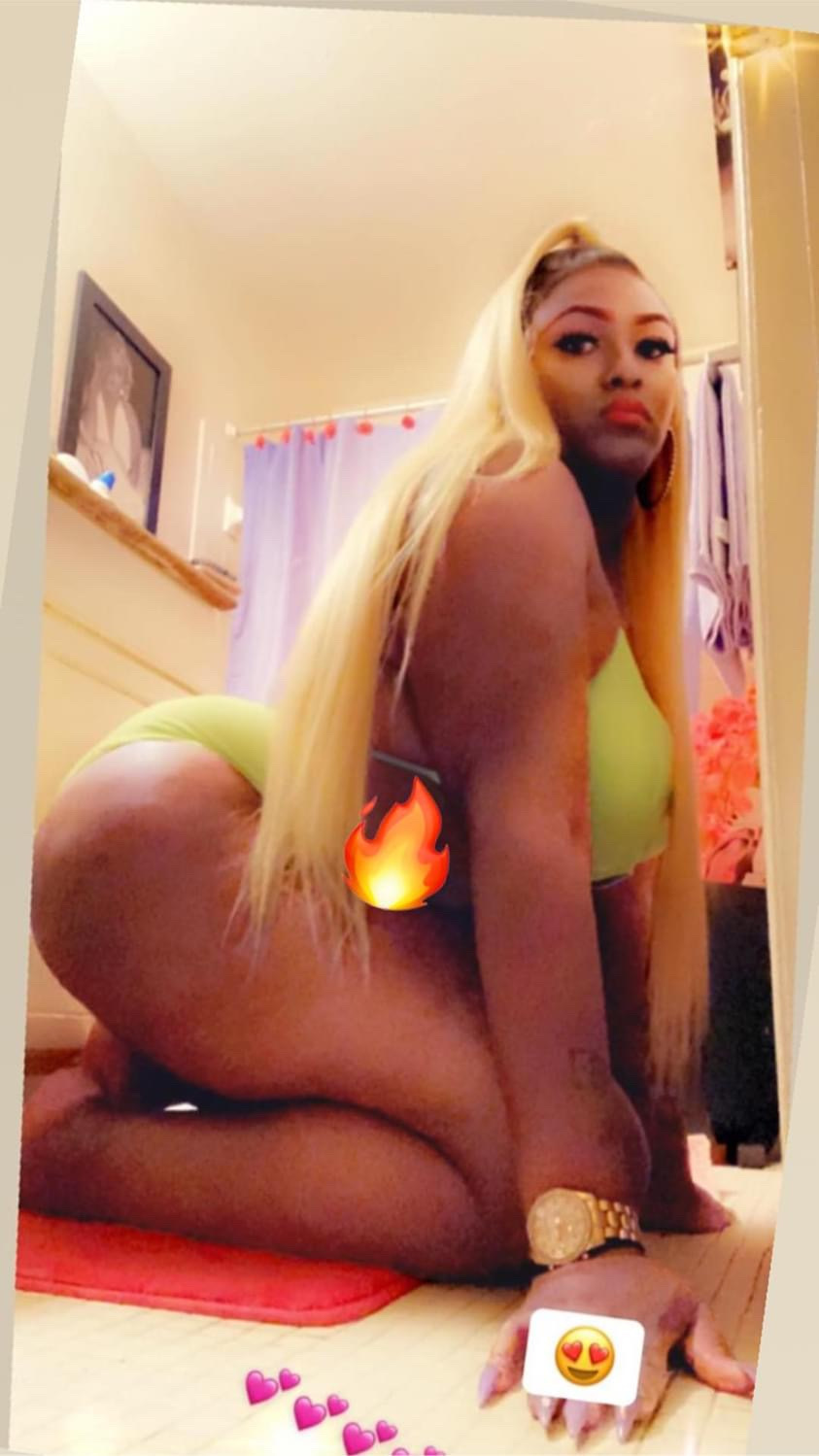 barbieDreams banner image