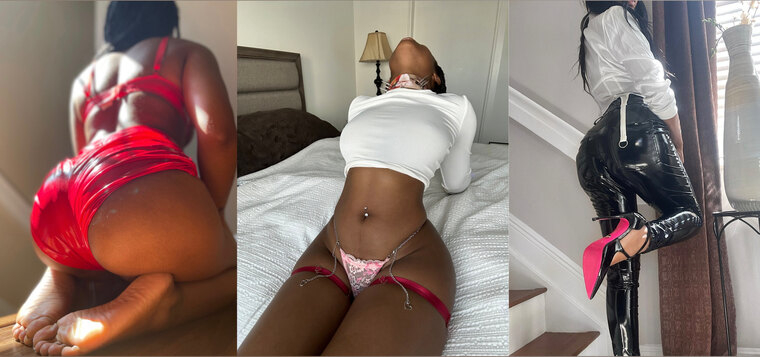 Evelyn Lace 🧸 cover image