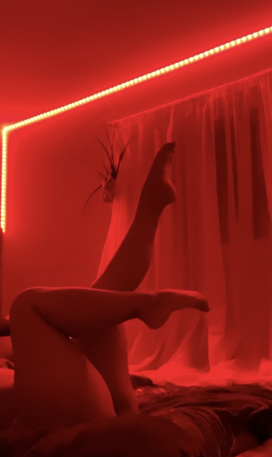 Miel banner image