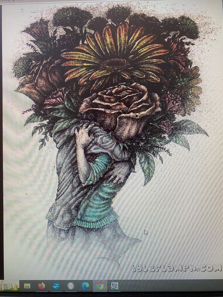 Nicole banner image