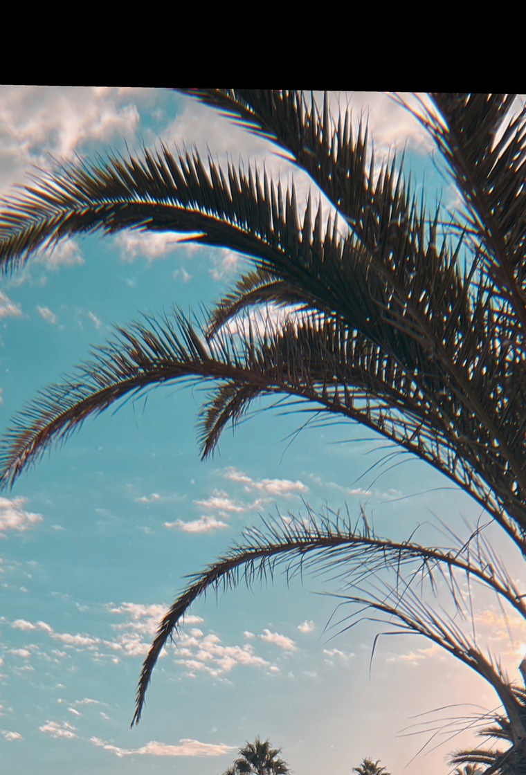 OGK cover image