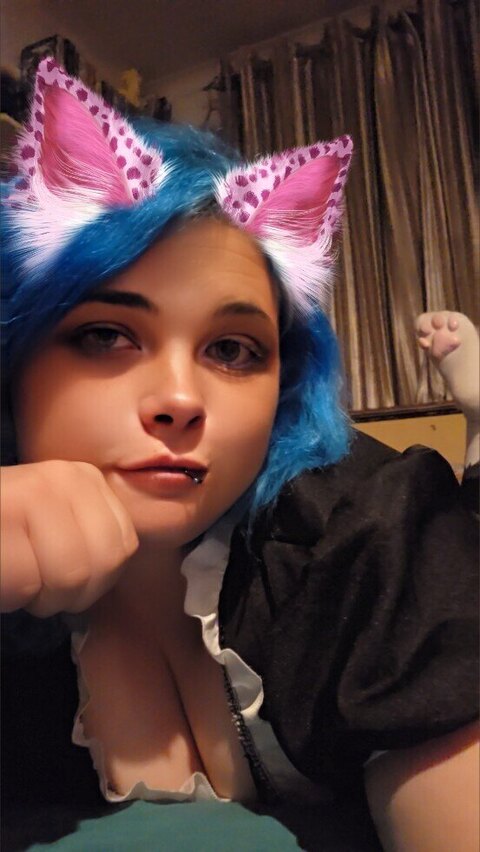 DroolKitten cover image
