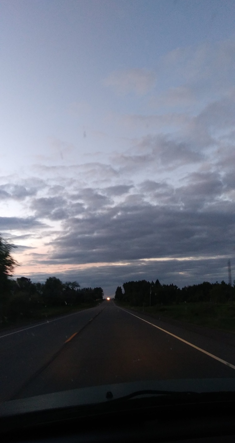 u52278002 cover image