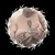 Drusilla Mae avatar
