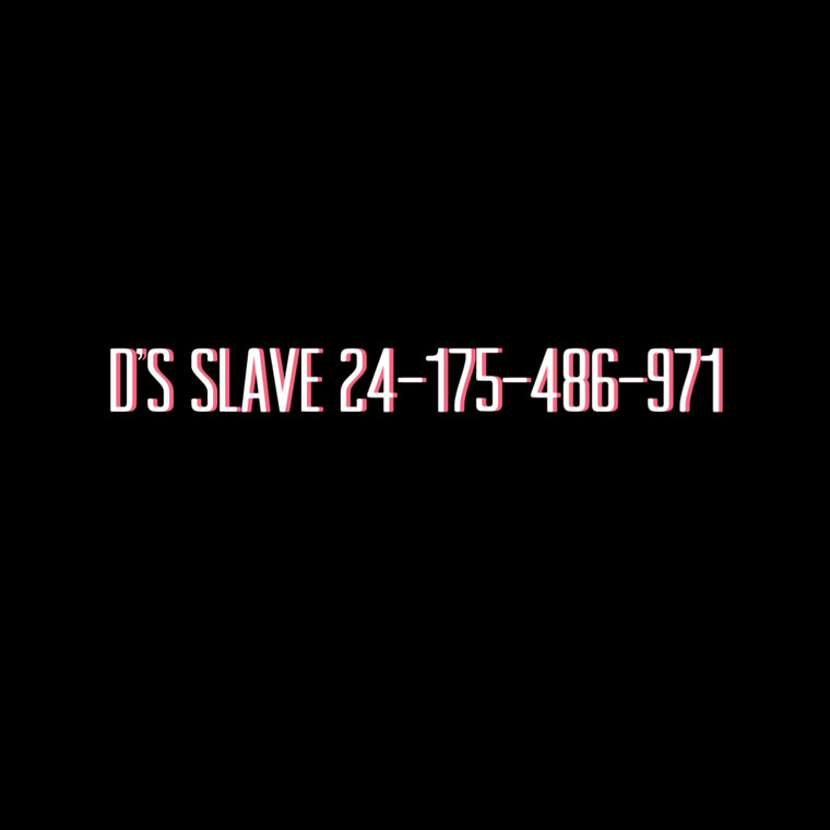 D’s Slave 24 banner image