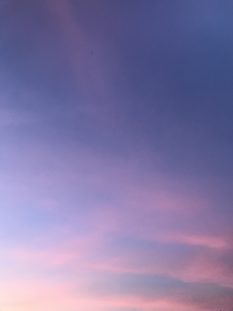u18543036 cover image
