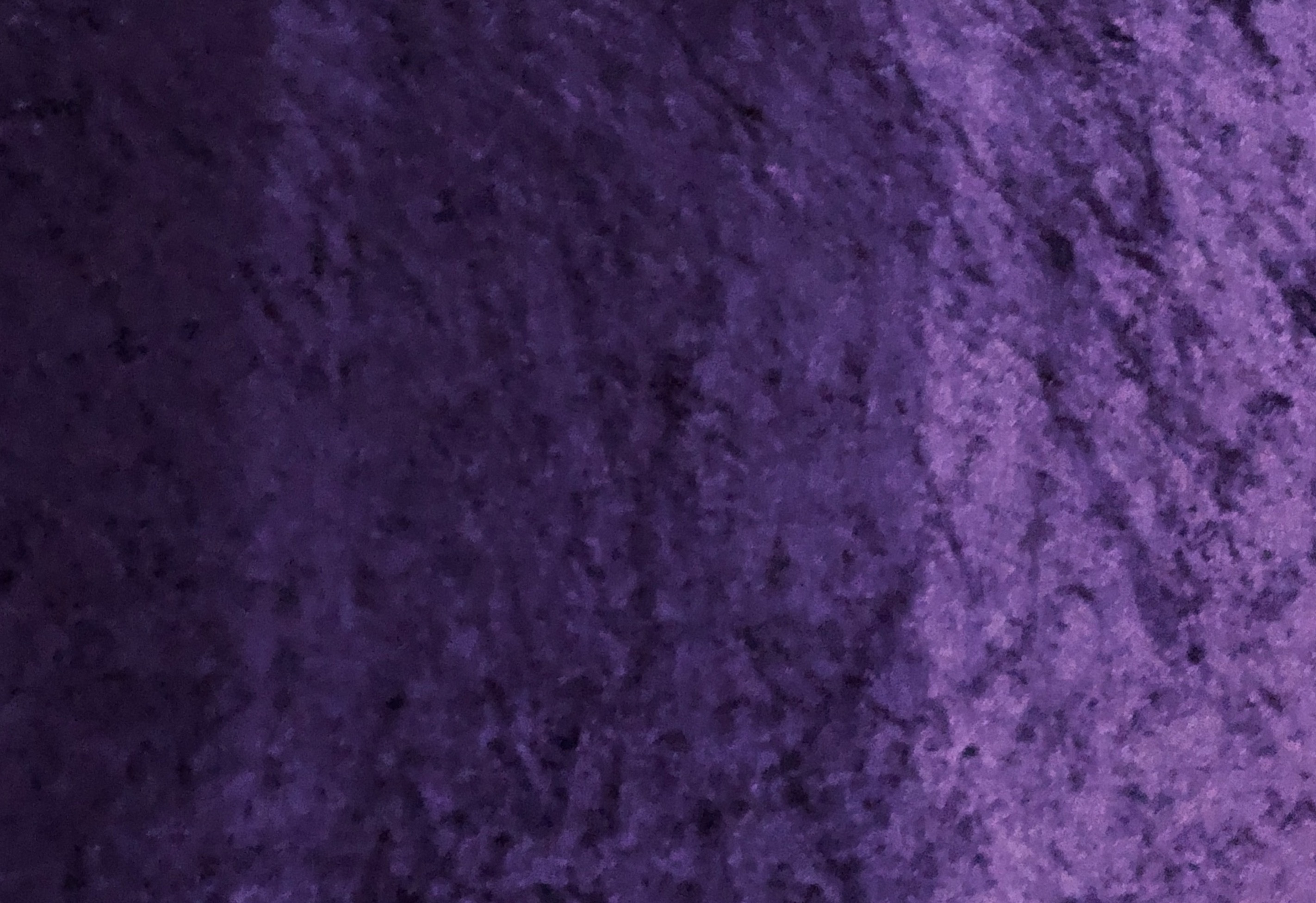 Duck Johnson banner image
