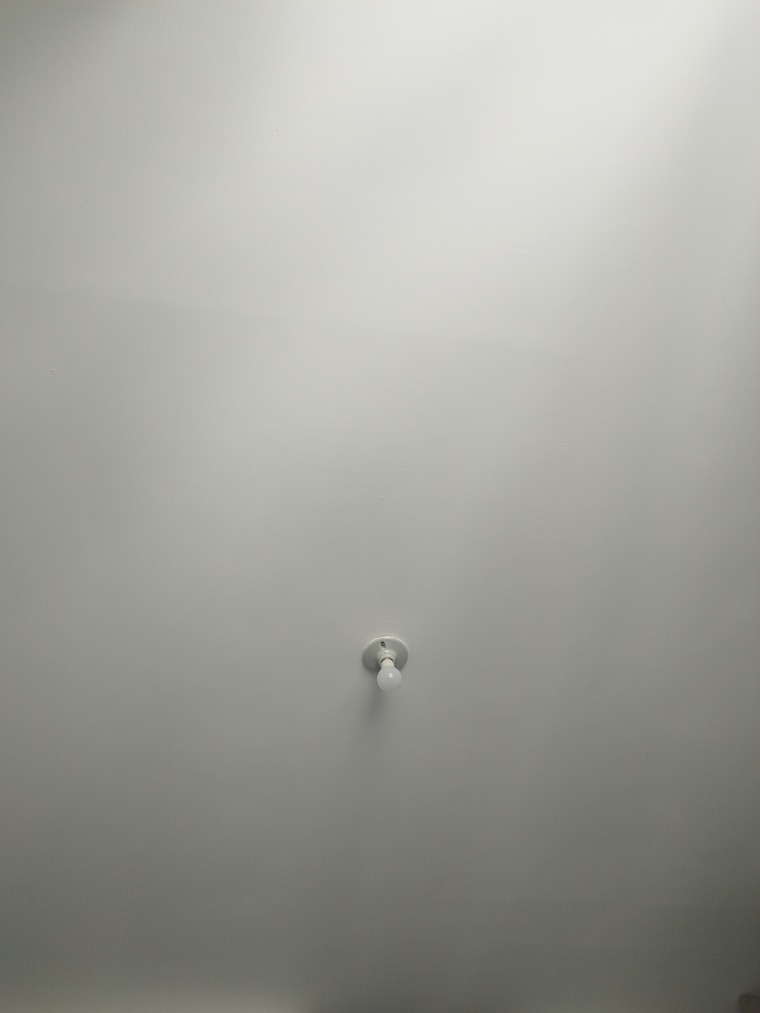 Pedro cover image