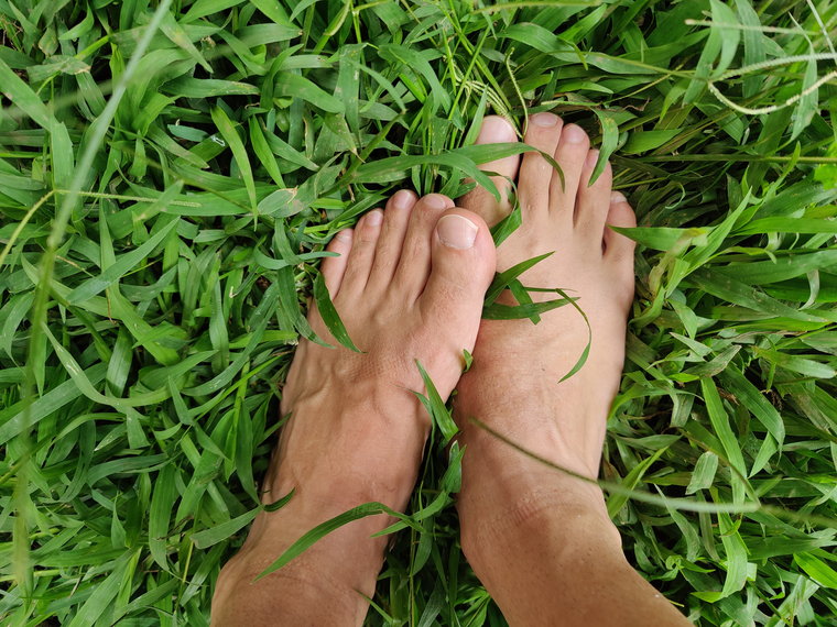 DG cover image