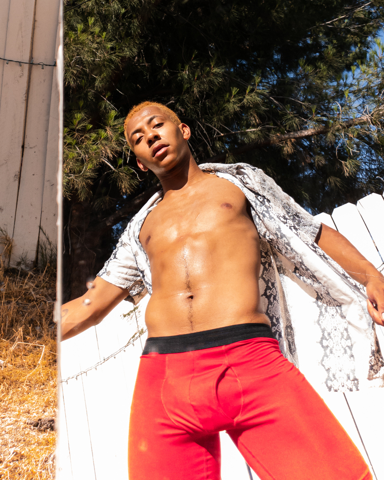 Duhshawn cover image