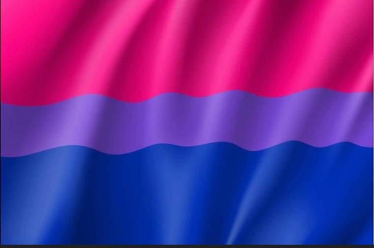 DukeB cover image