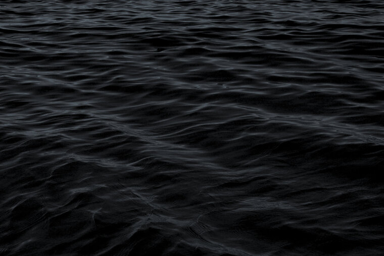 Duke cover image