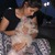 Dulcinea avatar