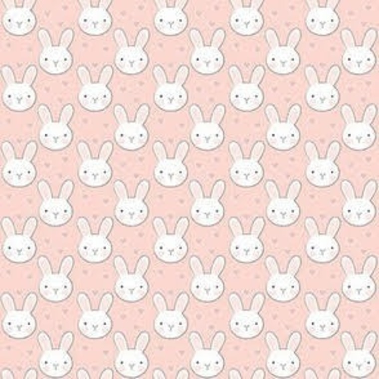 Bunnie cover image