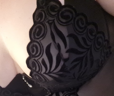 DutchAssBigboobs cover image