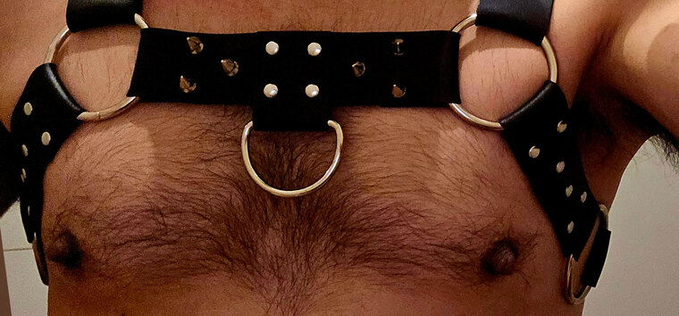 Dutch Bi Guy cover image