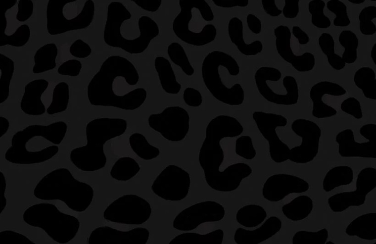 Dutchess banner image