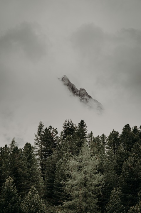 Daniel Martínez cover image