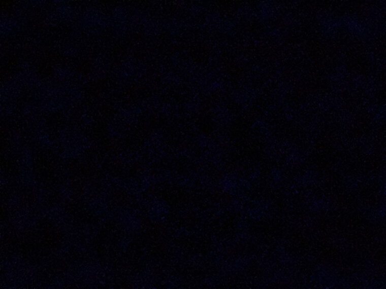 dj xxx banner image