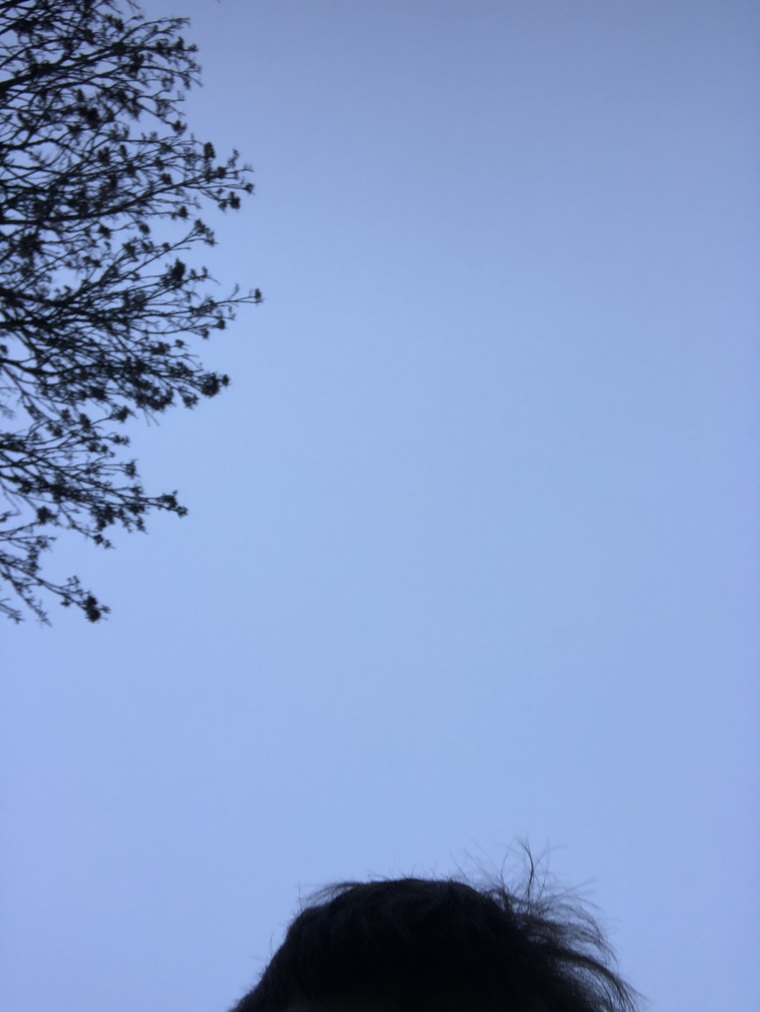 Dylan cee cover image