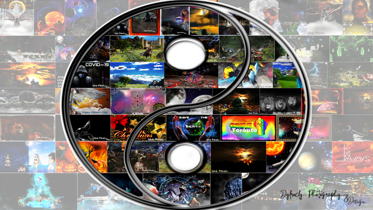 3Dpoly Digital cover image