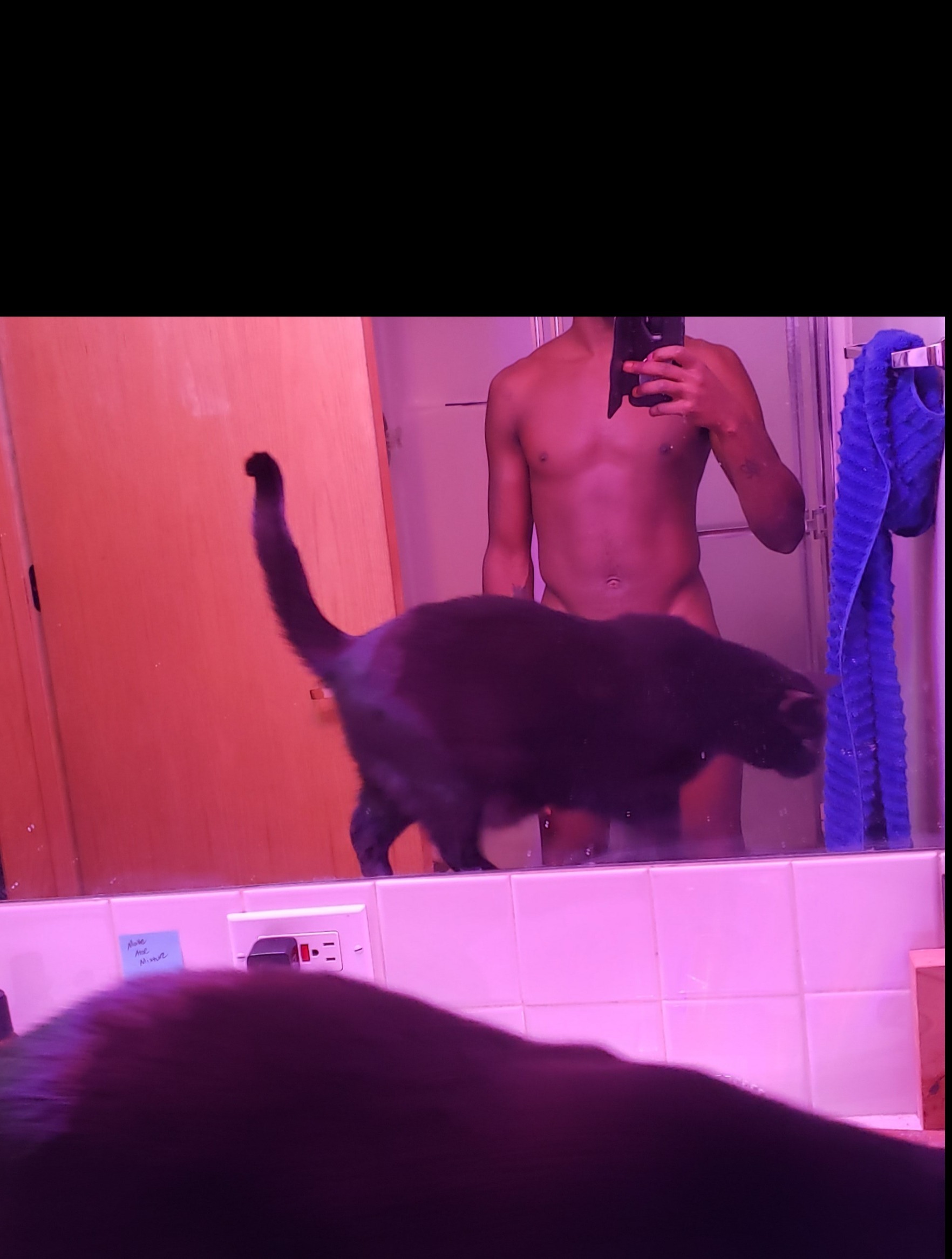 Queezus banner image