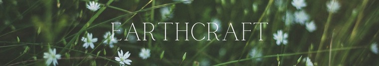 Earth cover image