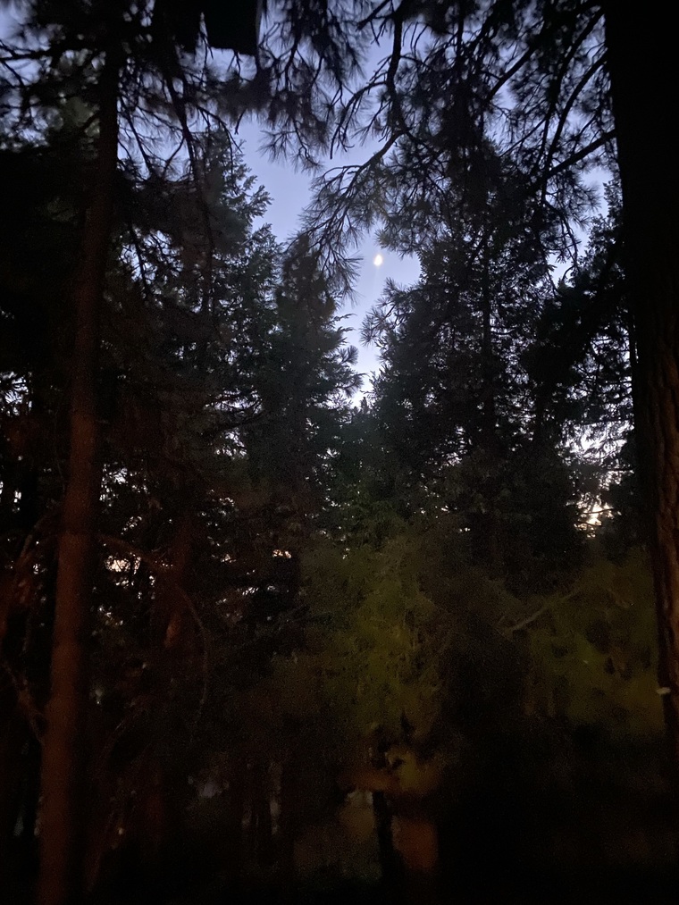 Beautician Beast cover image