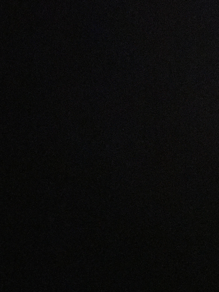 Ebony banner image