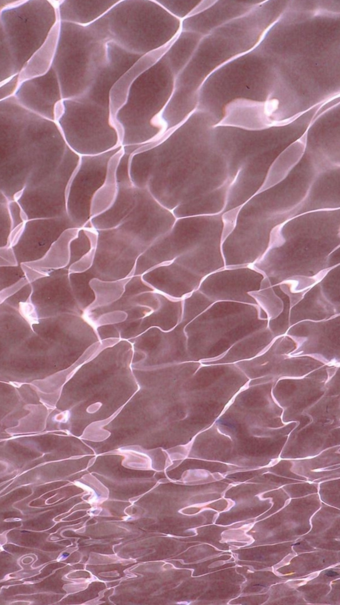 ebonyfeets banner image