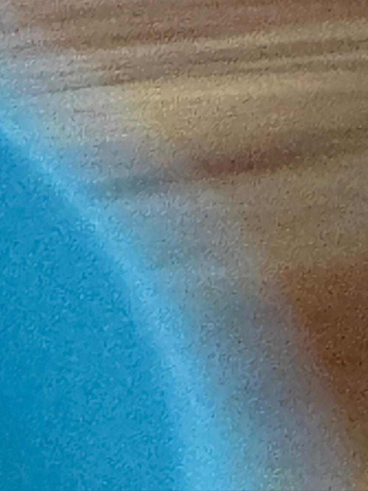 Ebony Rose banner image