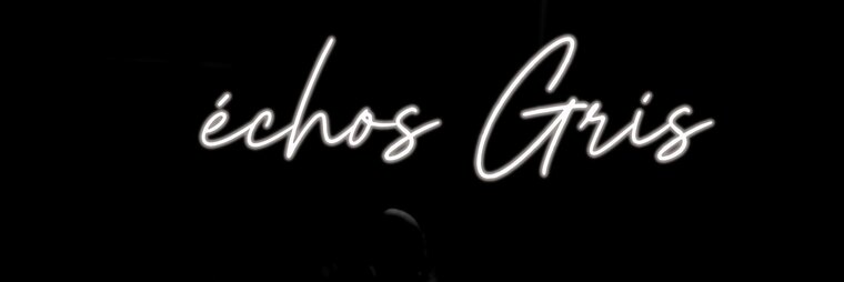 ÉchoGris cover image