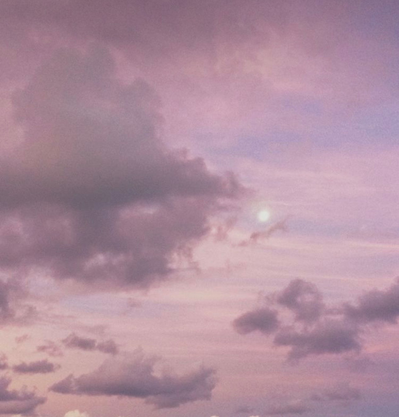 Eden banner image