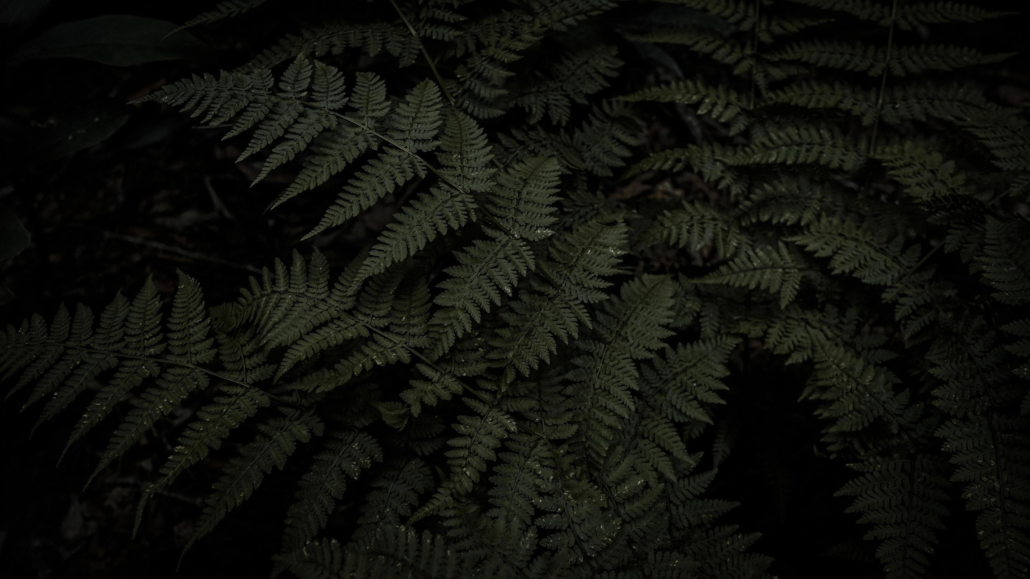Edgar Foster banner image