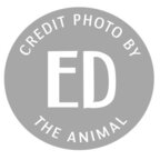 Ed The Animal avatar