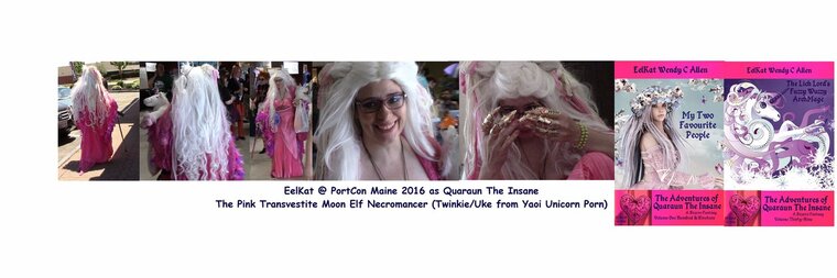 Wendy Christine Allen--A Pink Unicorn cover image