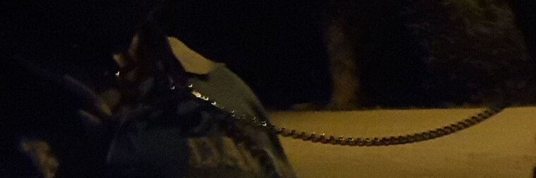 Sklave Maddin banner image