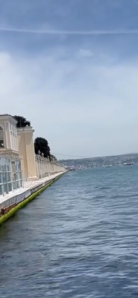 Ekii Majami cover image