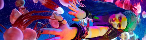 Compulsive Creator cover image