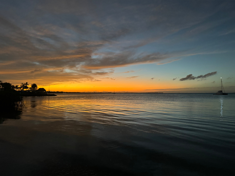 Elaine cover image