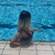 Elena avatar