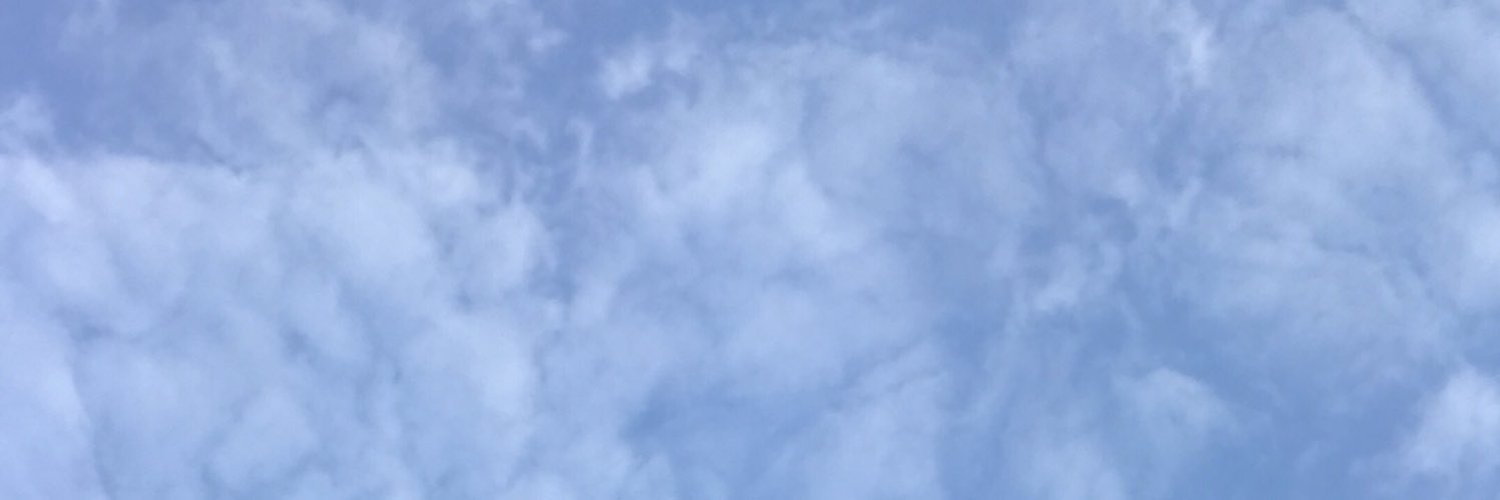 elephants banner image