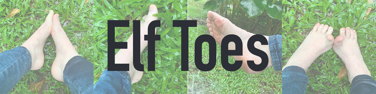 Elf Toes | Morticia Selleck cover image