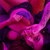 Eli 🌶️ avatar