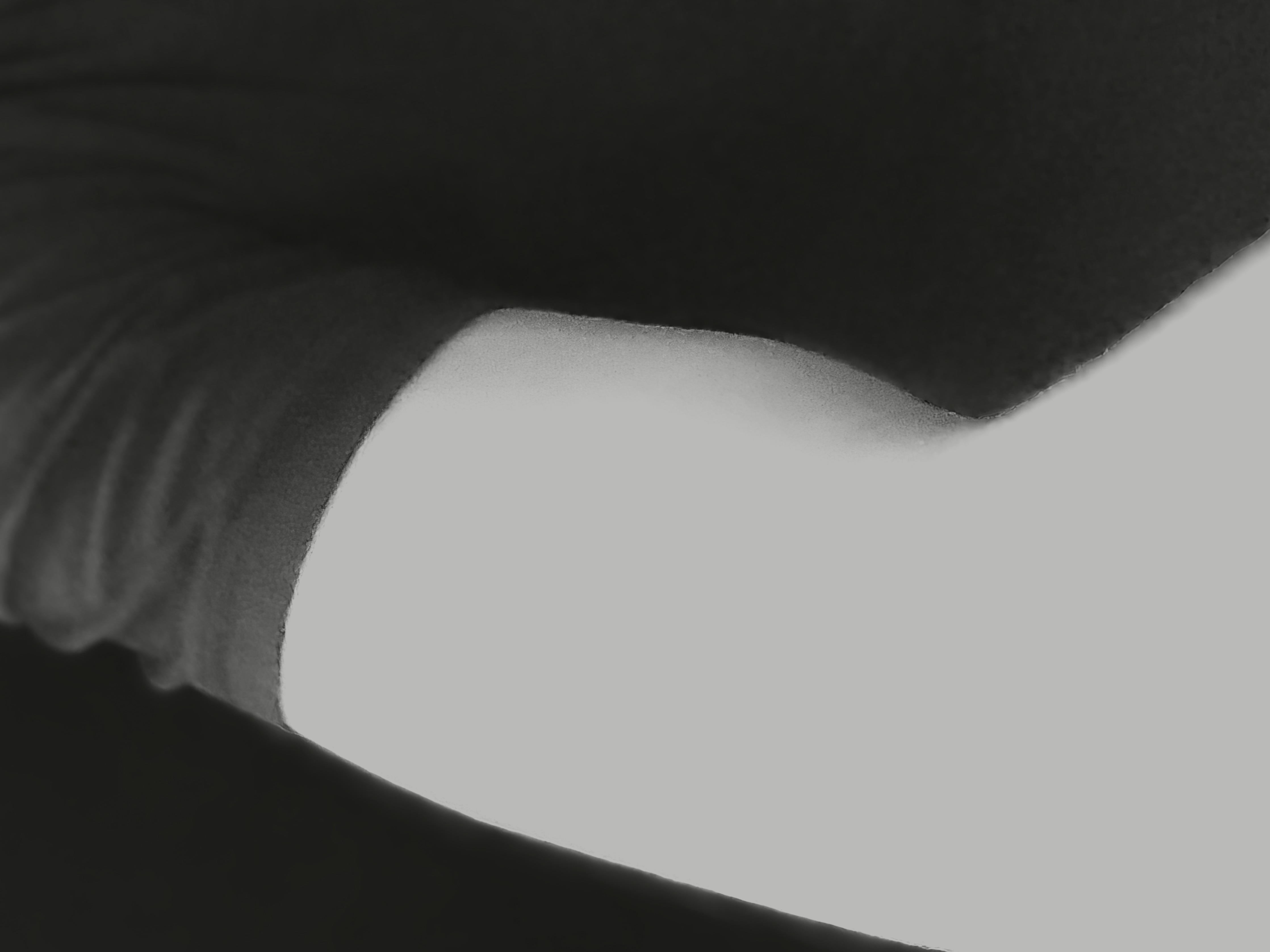 Eliya Elsdi banner image