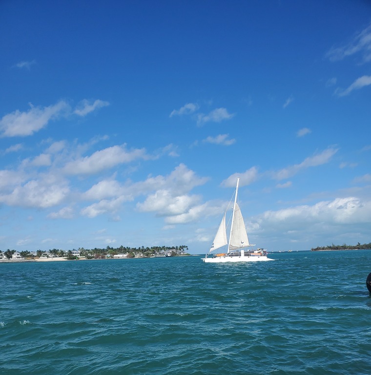 Elizabeth Bentley cover image