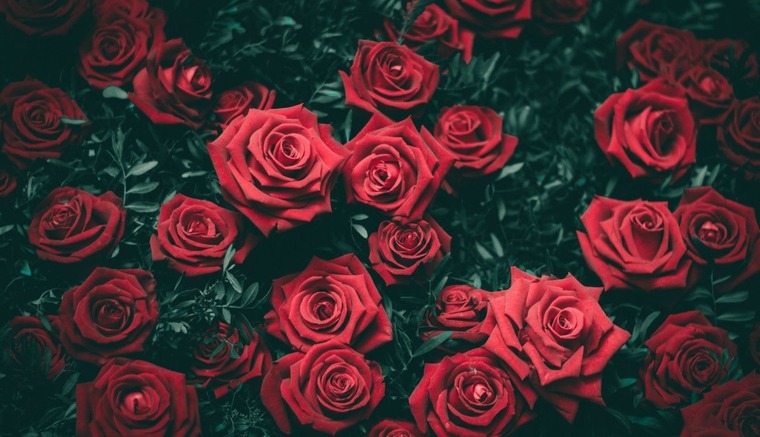 Elizabeth Valentine banner image